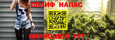 крисы Кунгур