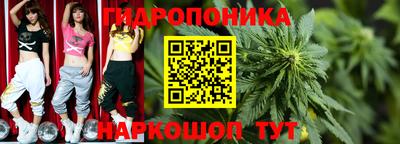 крисы Кунгур