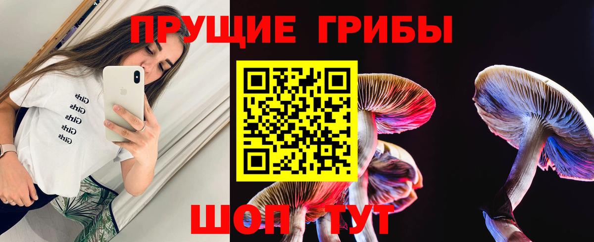 Вышний Волочёк  Псилоцибиновые грибы мухоморы  купить наркотик  Вход с VPN  Галлюциногенные грибы мухоморы 